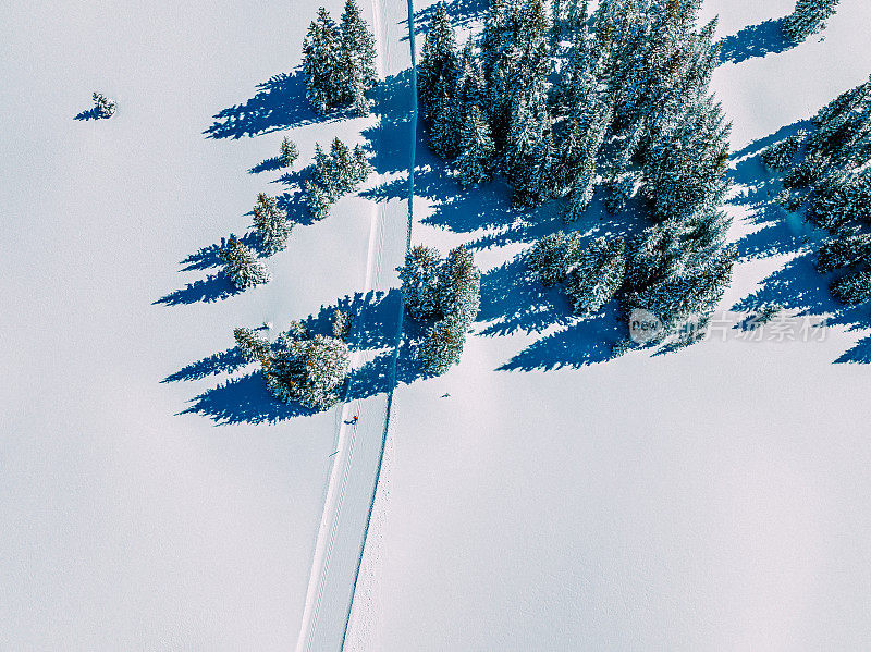 一个越野滑雪者滑雪和练习“对角步幅”方法的广角航拍在科罗拉多的Grand Mesa国家森林的修整小径上